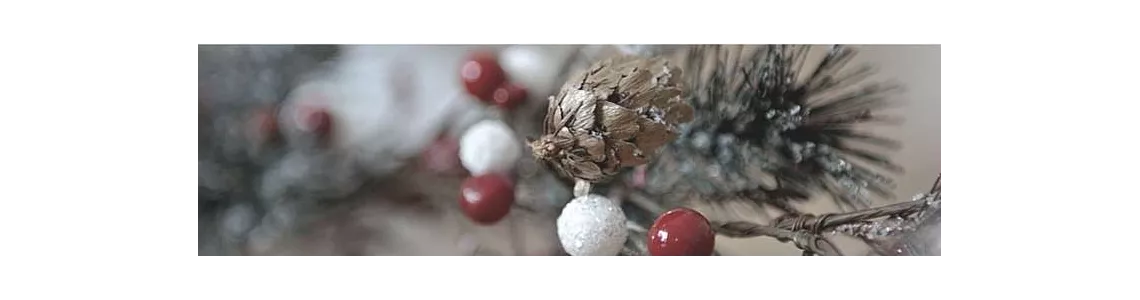 CADEAU NOËL DECO
