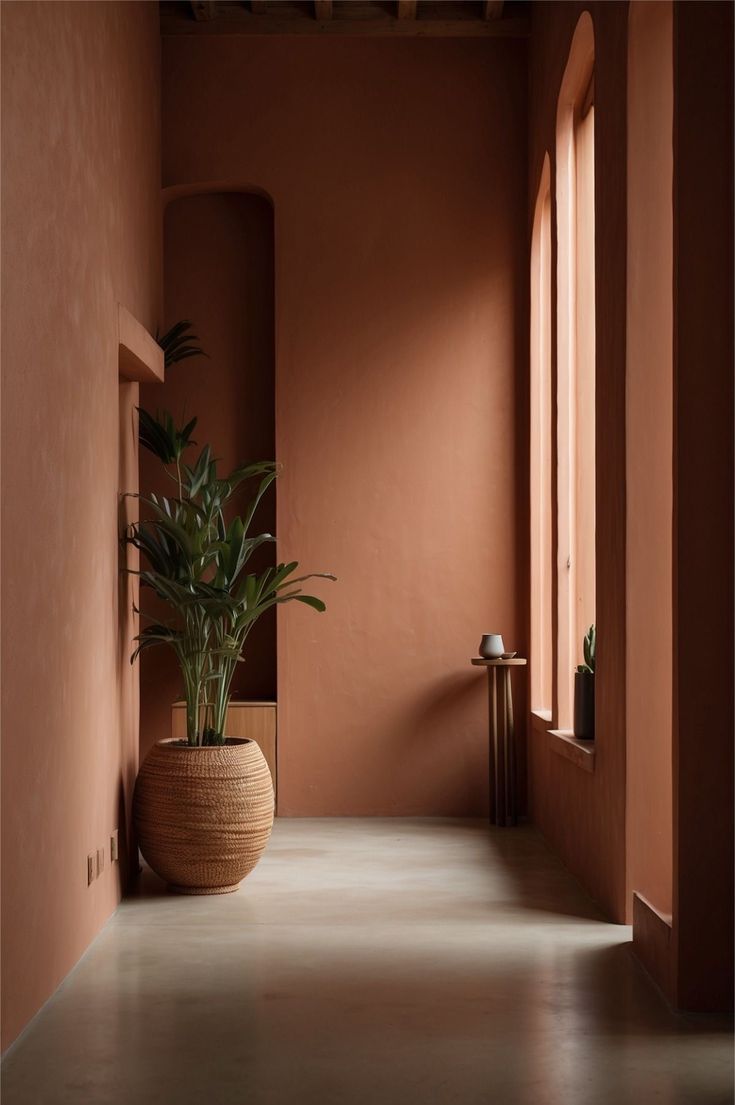 Coloris Terracotta Cuisine entree